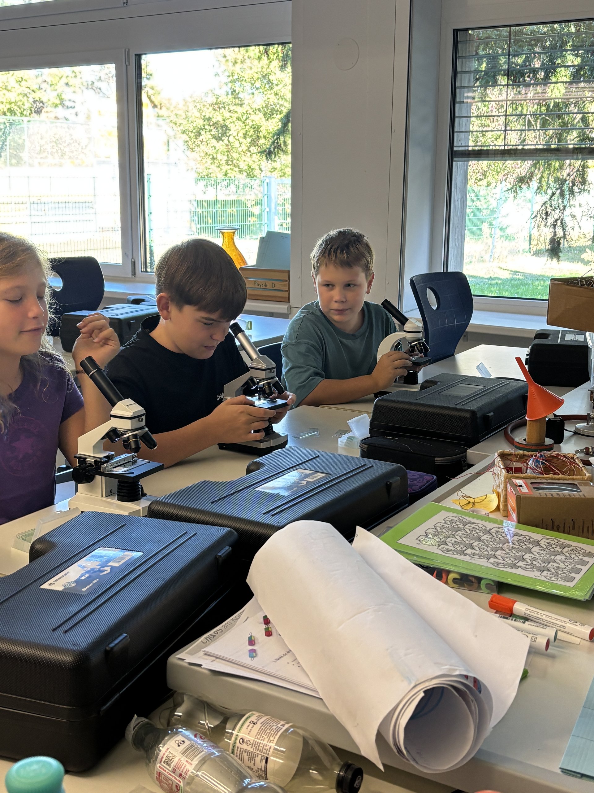 Schülerinnen und Schüler arbeiten im MINT-Unterricht mit Mikroskopen